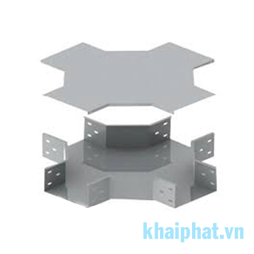 Co chữ thập máng